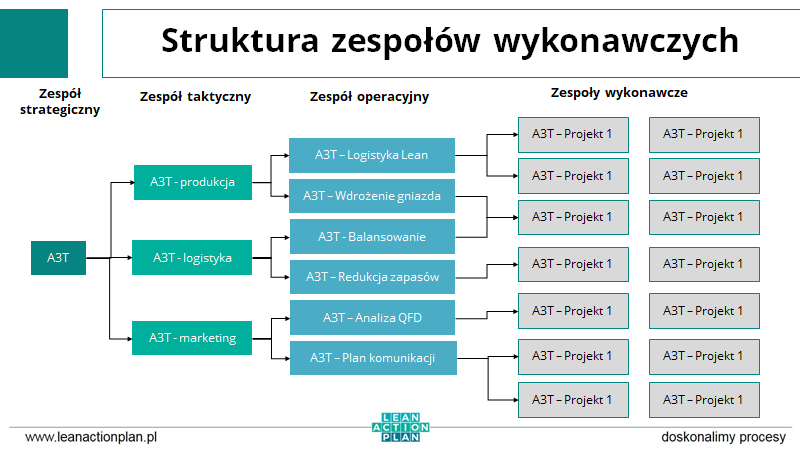 Struktura zespołów wykonawczych